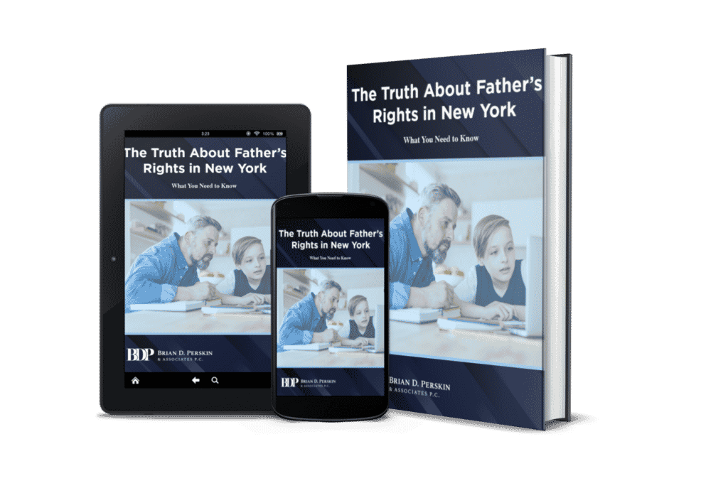 Fathers Rights eBook